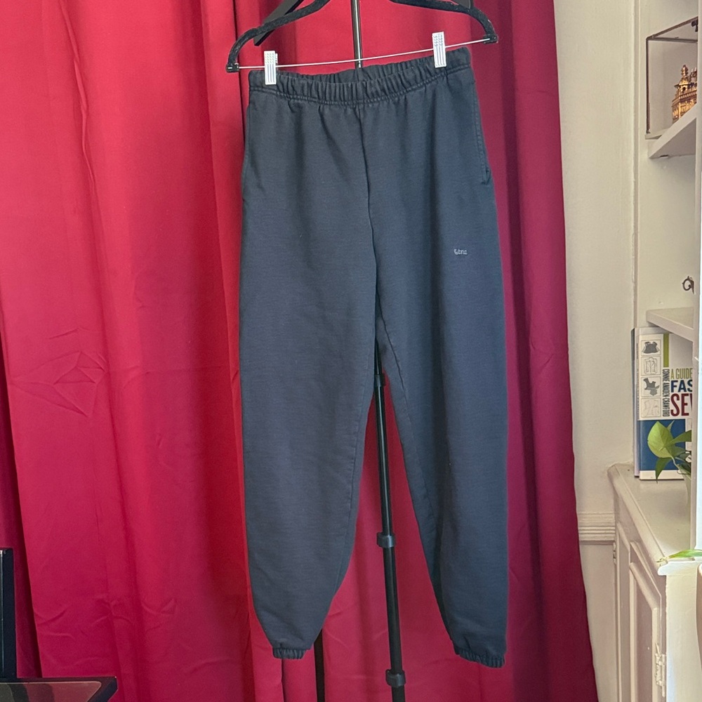 Aritzia TNA ExtraAF fleece sweat pant